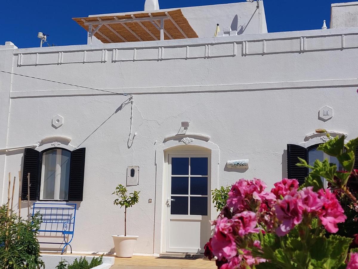 "Oliveiras" Appartement Typique Avec Terrasse Et Piscine Loulé Zewnętrze zdjęcie
