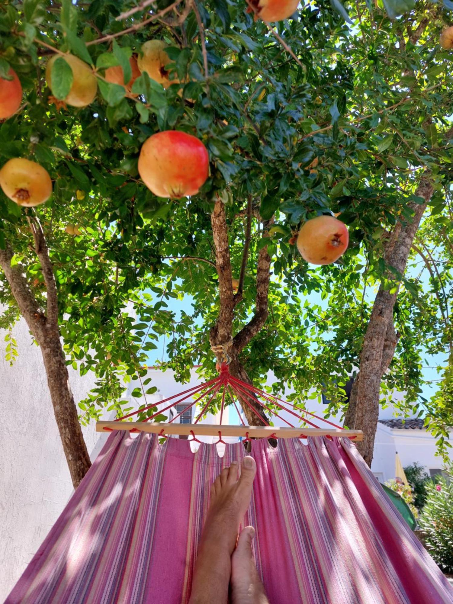 "Oliveiras" Appartement Typique Avec Terrasse Et Piscine Loulé Zewnętrze zdjęcie